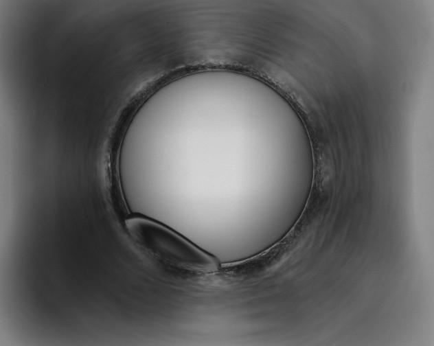 X0000094920680200712271533