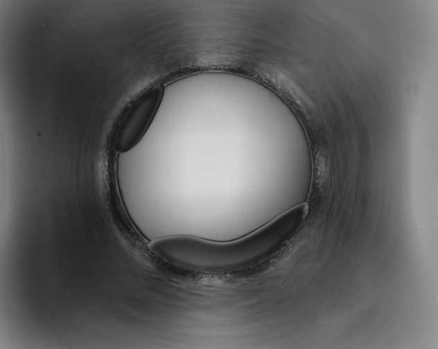 X0000094920684200712271533