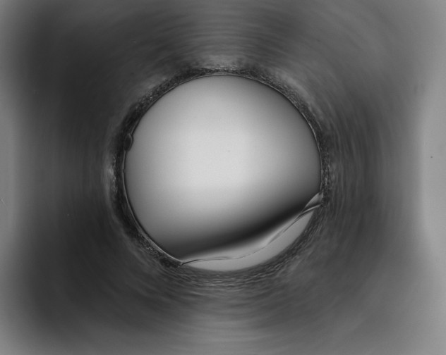 X0000094920688200712271533