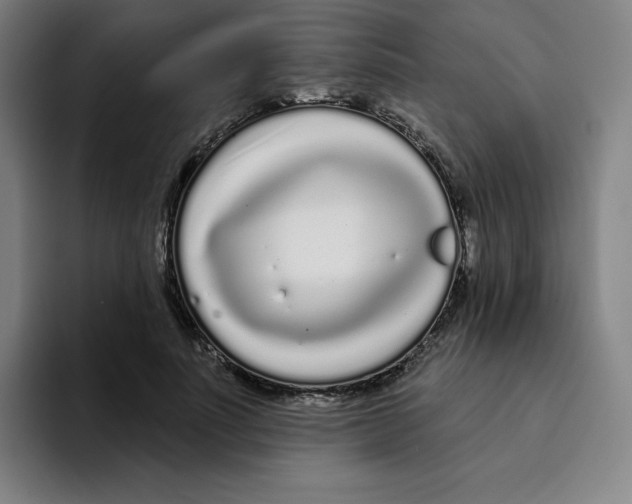 X0000094920691200712271533