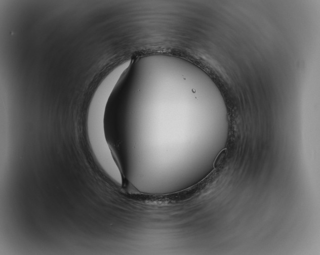 X0000094920693200712271533