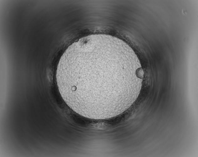 X0000094920695200712271533