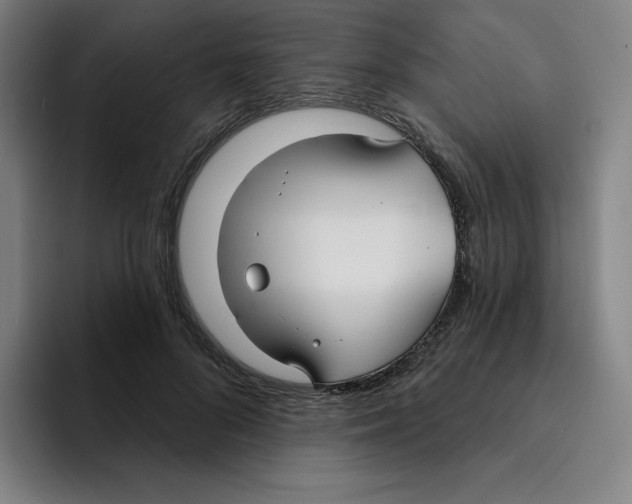 X0000094920696200712271533