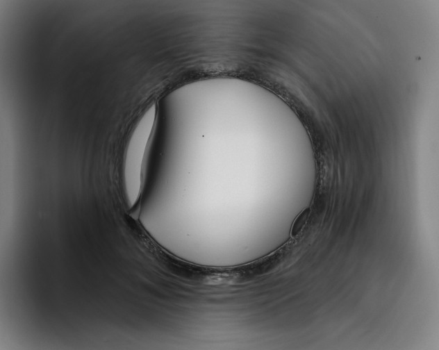 X0000094920700200712271533