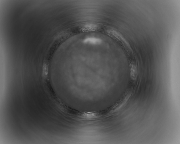 X0000094920701200712271533