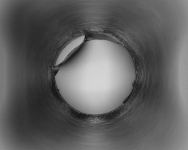 X0000094920704200712271533