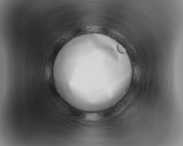 X0000094920705200712271533