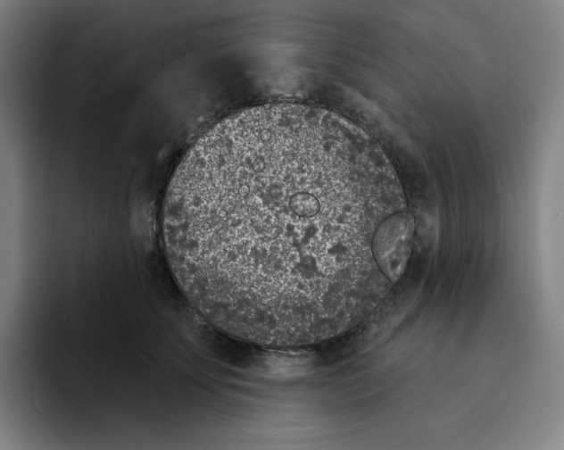 X0000094920707200712271533