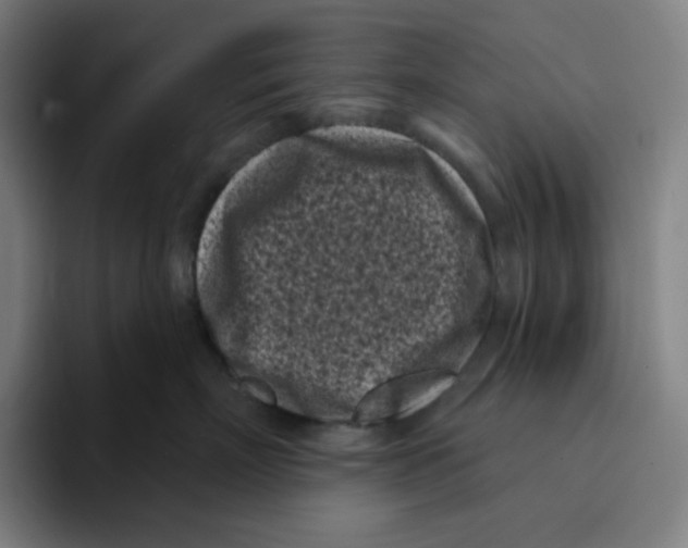 X0000094920718200712271532