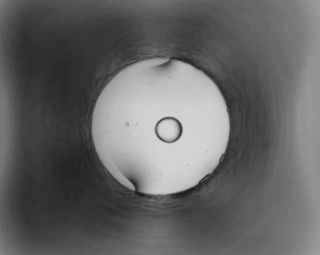 X0000094920720200712271532
