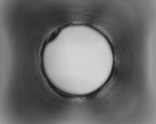 X0000094920721200712271532