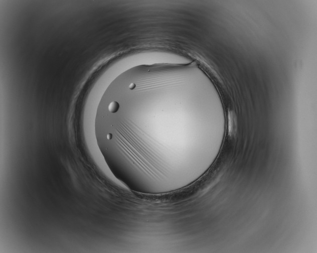 X0000094920723200712271532