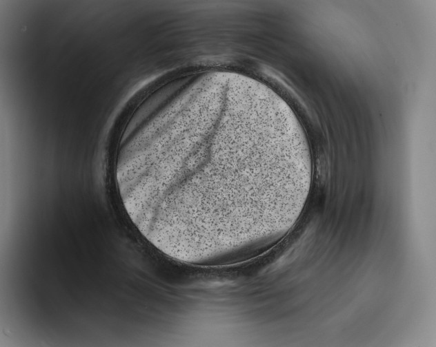X0000094920724200712271532