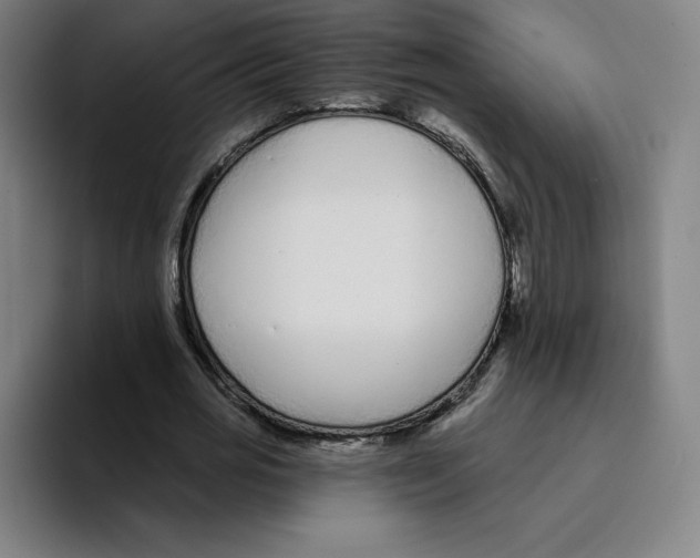 X0000094920725200712271532