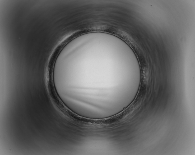 X0000094920726200712271532
