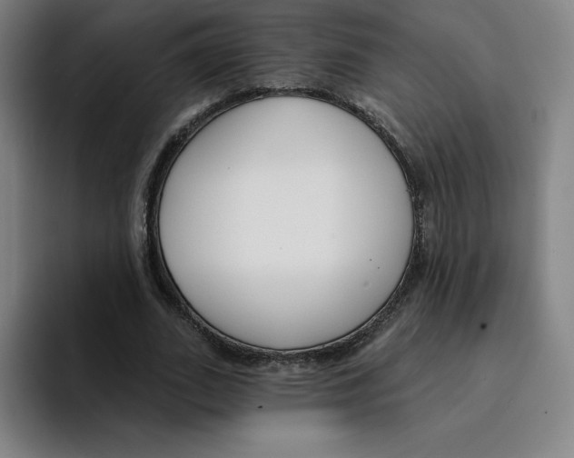 X0000094920727200712271532