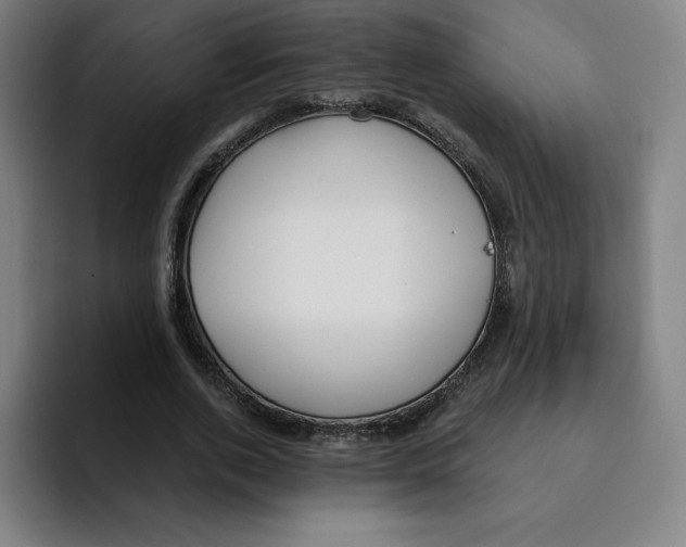X0000094920728200712271532
