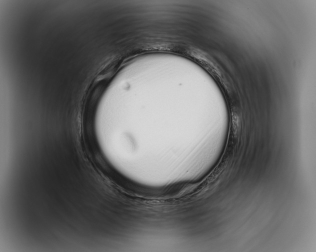 X0000094920729200712271532