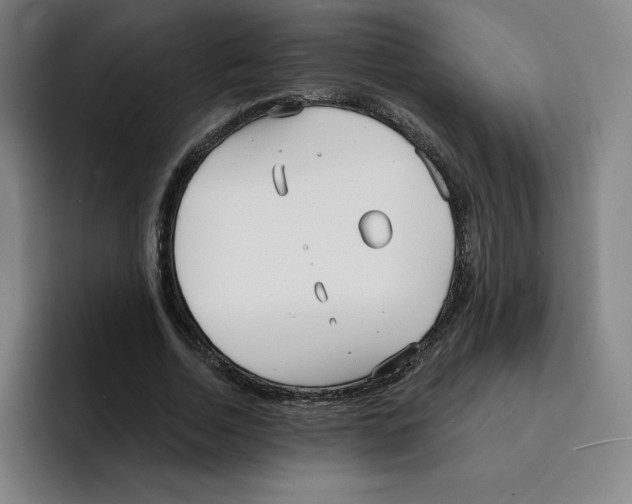 X0000094920730200712271532