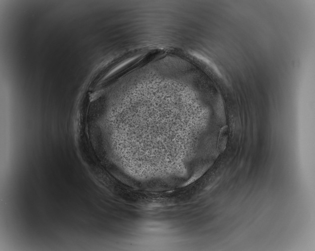 X0000094920736200712271532