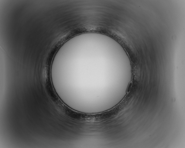 X0000094920740200712271532