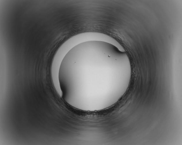 X0000094920744200712271532