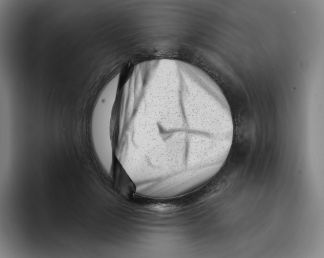 X0000094920748200712271532