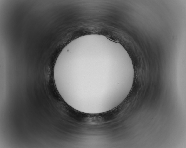 X0000094920752200712271532