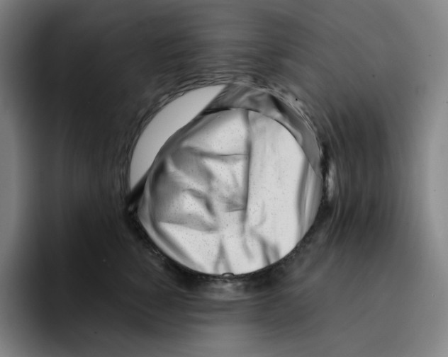 X0000094920760200712271532