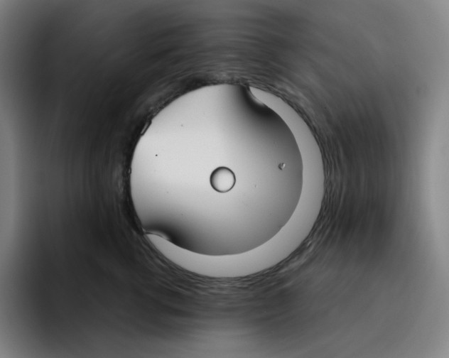 X0000094920762200712271532