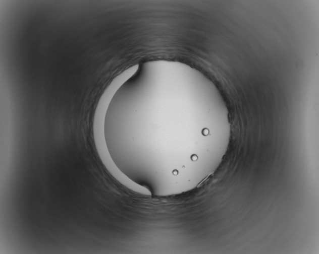 X0000094920764200712271532