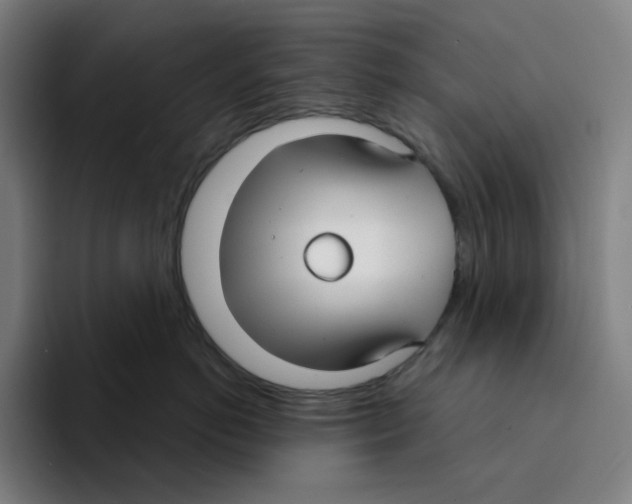 X0000094920766200712271532