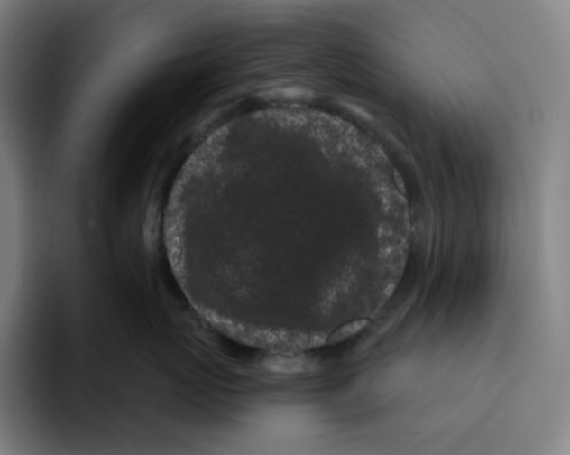 X0000094920767200712271532