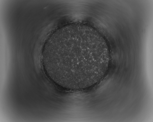 X0000094920769200712271532