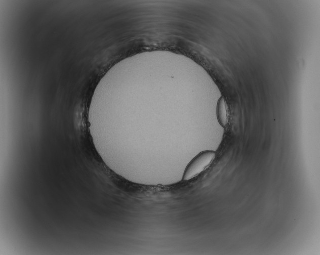 X0000094920770200712271532