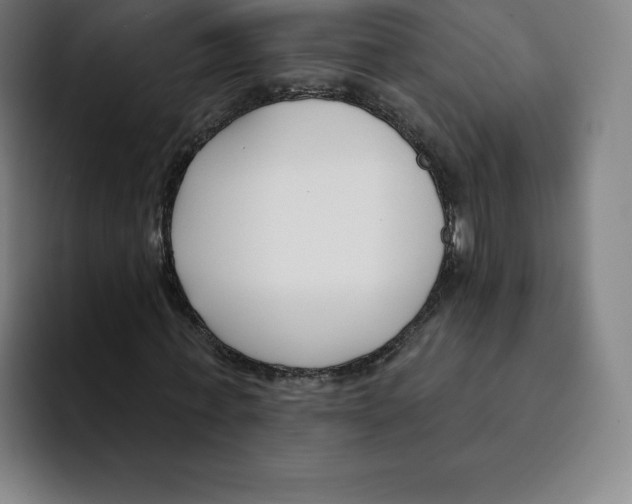 X0000094920771200712271532