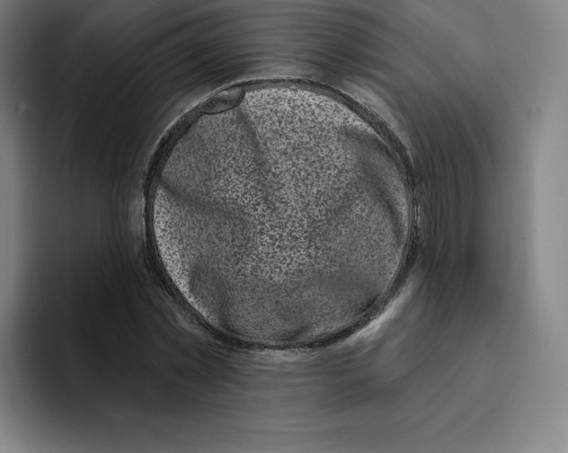 X0000094920781200712271532