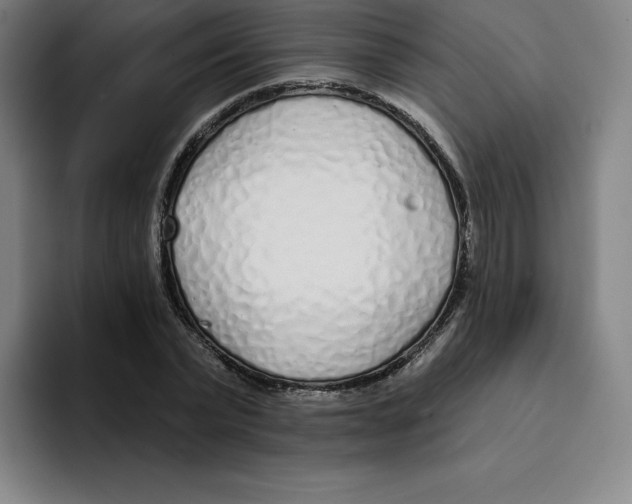 X0000094920783200712271532