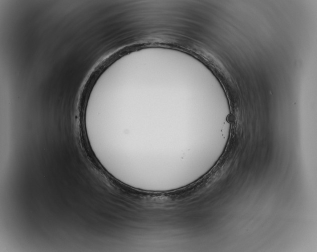 X0000094920784200712271532