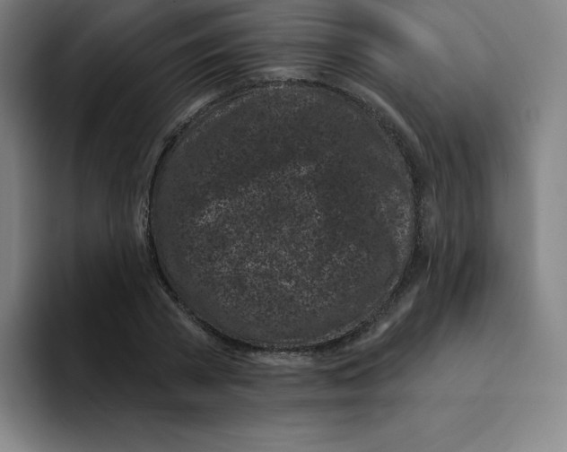 X0000094920785200712271532