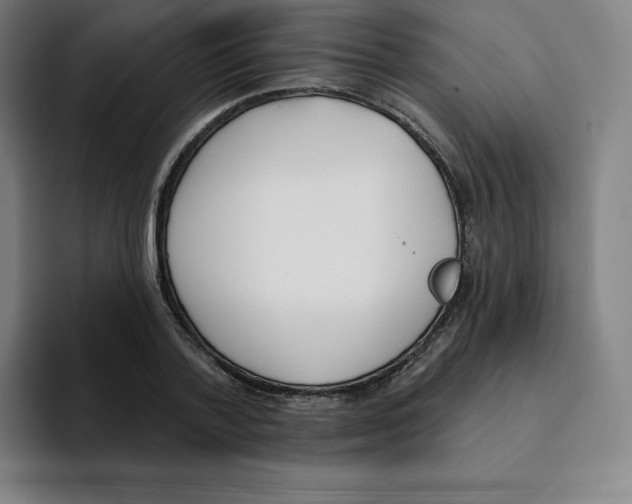 X0000094920788200712271532