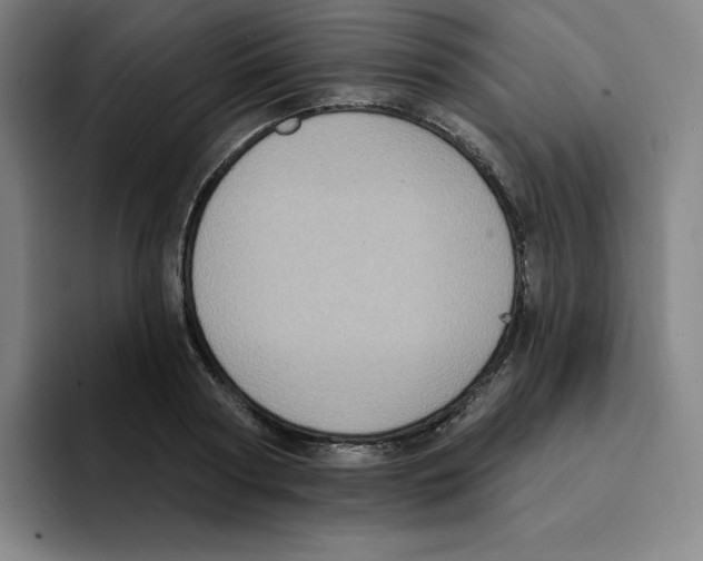X0000094920794200712271532