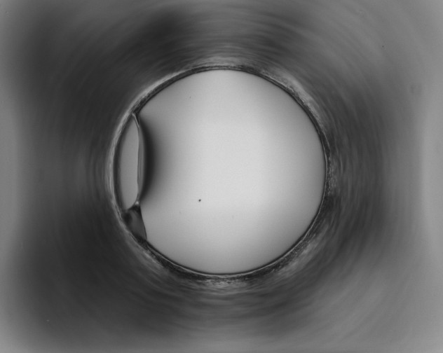 X0000094920795200712271531