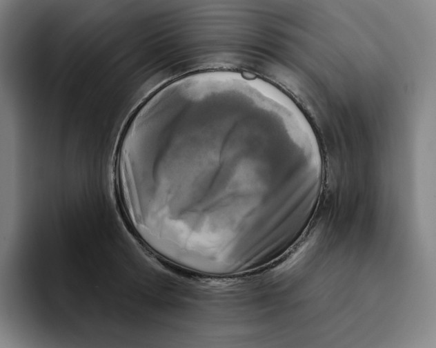 X0000094920802200712271531