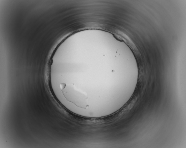 X0000094920804200712271531