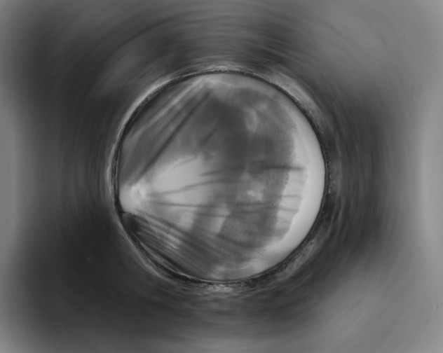 X0000094920806200712271531
