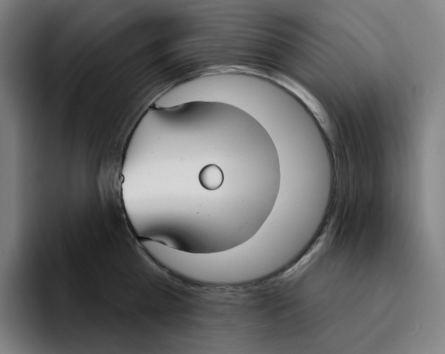 X0000094920809200712271531