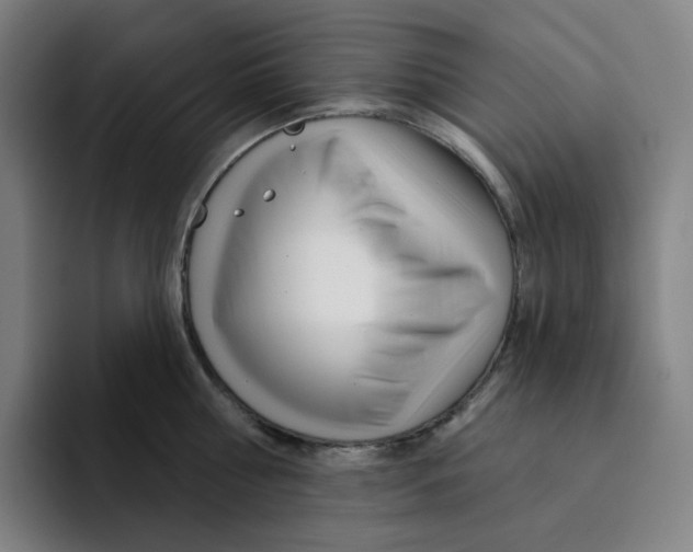 X0000094920810200712271531