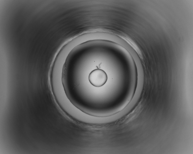 X0000094920813200712271531