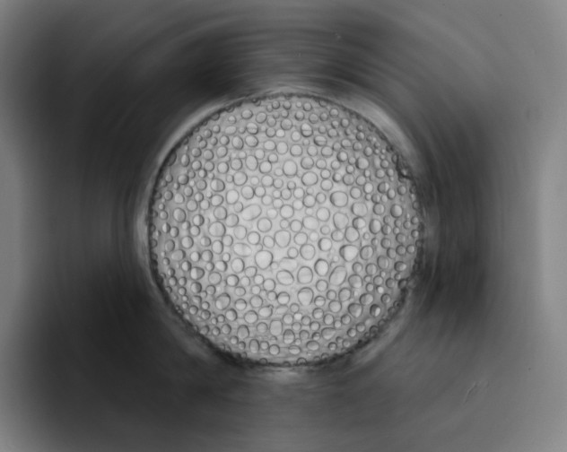 X0000094920814200712271531